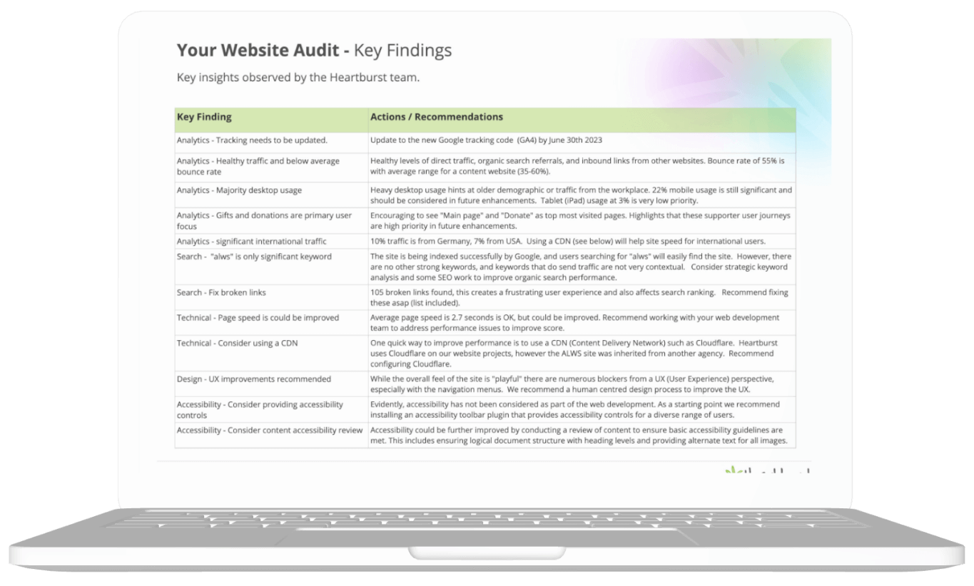 Website audit for NFP details example